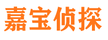 长岭市私家侦探